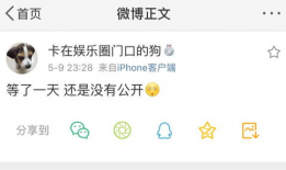 吃瓜视频爆料在哪里看啊,吃瓜视频爆料，独家观看指南大公开！